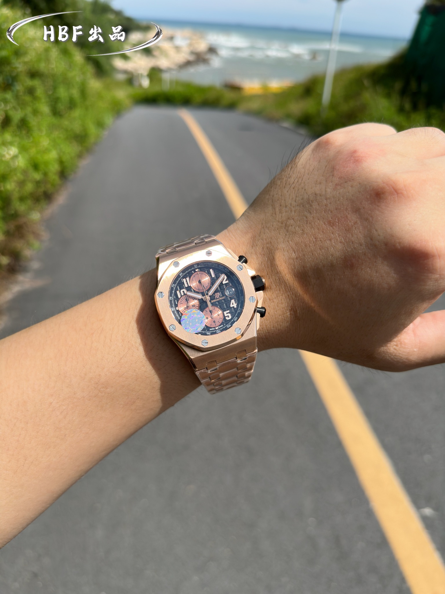 Audemars Piguet watch